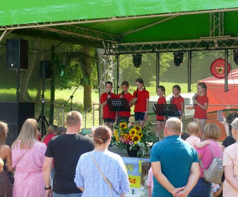 PIKNIK W DAŃCZYPOLU