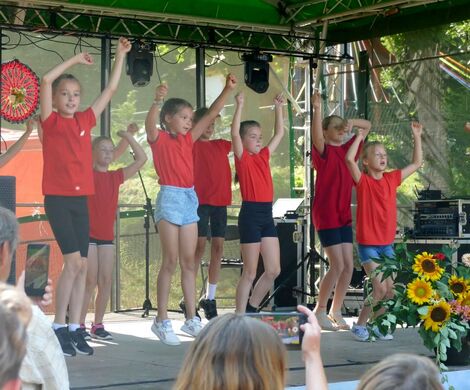PIKNIK W DAŃCZYPOLU