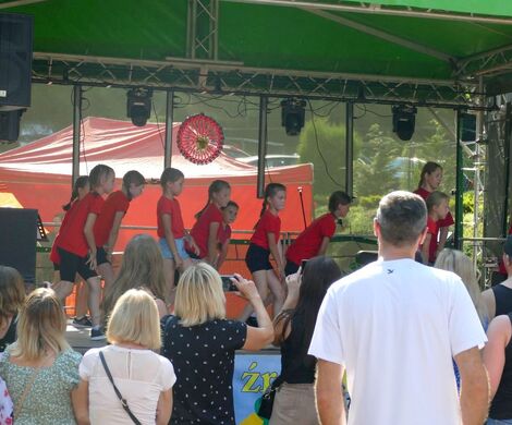 PIKNIK W DAŃCZYPOLU