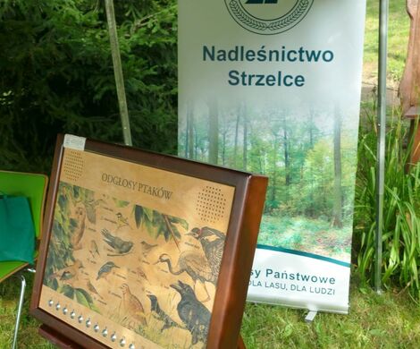 PIKNIK W DAŃCZYPOLU