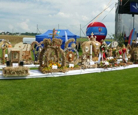 DOŻYNKI POWIATOWO-GMINNE W STARYM ZAMOŚCIU