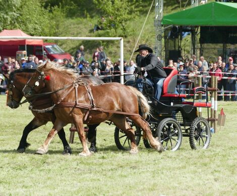 WYŚCIGI ZAPRZĘGÓW KONNYCH 2025
