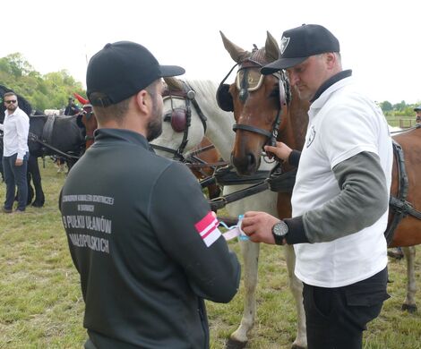 WYŚCIGI ZAPRZĘGÓW KONNYCH 2025