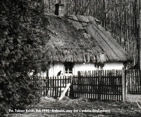 DREWNIANA ZABUDOWA DAWNEGO GRABOWCA