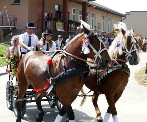 DOŻYNKI GMINNO – PARAFIALNE - GRABOWIEC 2025