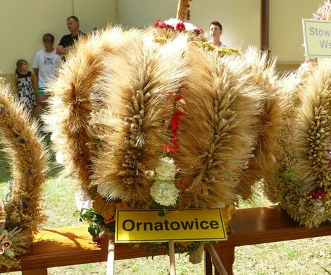 DOŻYNKI GMINNO – PARAFIALNE - GRABOWIEC 2025