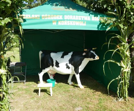 DOŻYNKI GMINNO – PARAFIALNE - GRABOWIEC 2025