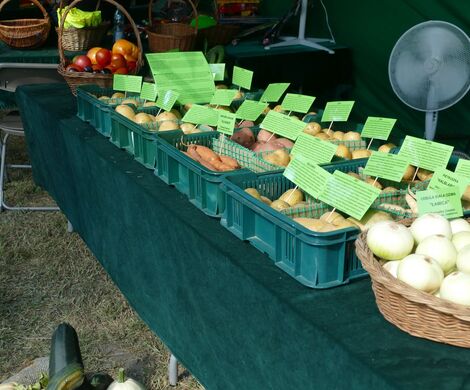 DOŻYNKI GMINNO – PARAFIALNE - GRABOWIEC 2025