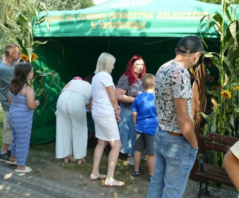 DOŻYNKI GMINNO – PARAFIALNE - GRABOWIEC 2025