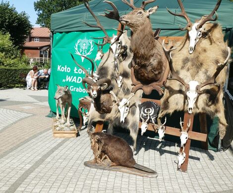 DOŻYNKI GMINNO – PARAFIALNE - GRABOWIEC 2025