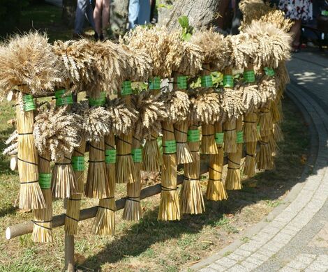 DOŻYNKI GMINNO – PARAFIALNE - GRABOWIEC 2025