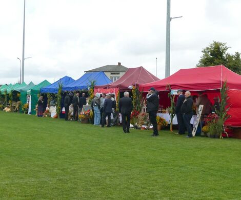 DOŻYNKI POWIATOWO-GMINNE W  ŁABUNIACH
