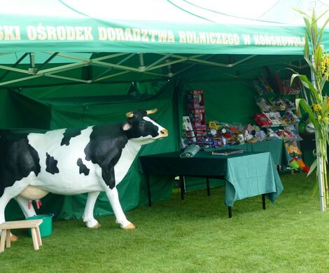 DOŻYNKI POWIATOWO-GMINNE W  ŁABUNIACH