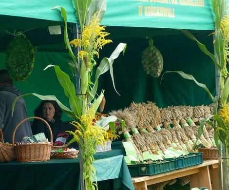 DOŻYNKI POWIATOWO-GMINNE W  ŁABUNIACH