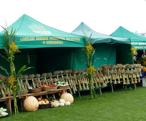 DOŻYNKI POWIATOWO-GMINNE W  ŁABUNIACH
