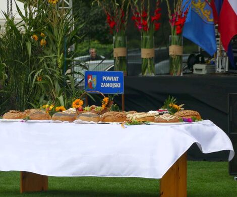 DOŻYNKI POWIATOWO-GMINNE W  ŁABUNIACH