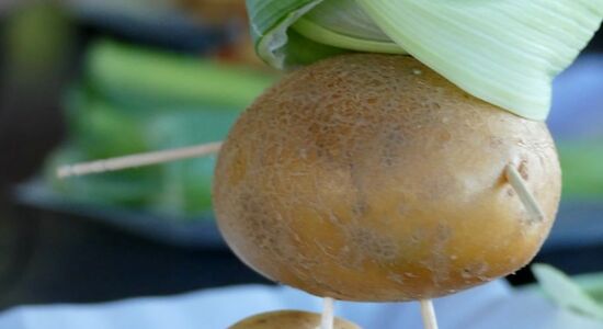 ŚWIĘTO PIECZONEGO ZIEMNIAKA ŚWIĘTO PIECZONEGO ZIEMNIAKA