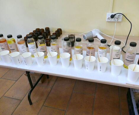 WARSZTATY LGD „W RAMACH SZTUKI” - ŚWIECE SOJOWE