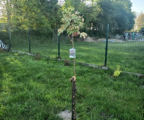 WSPÓLNIE MOŻEMY WIĘCEJ!
