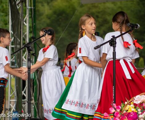 „PIKNIKU W DAŃCZYPOLU” – święto lokalnej społeczności u malowniczego źródełka