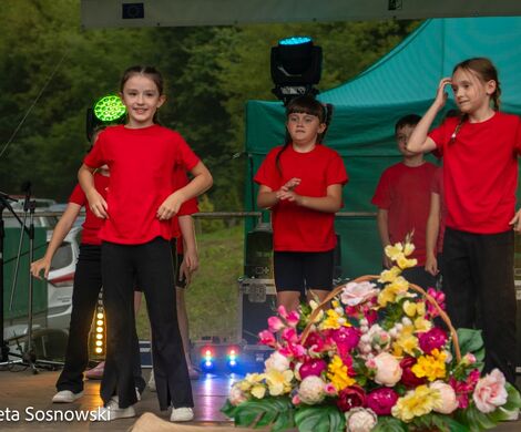 „PIKNIKU W DAŃCZYPOLU” – święto lokalnej społeczności u malowniczego źródełka