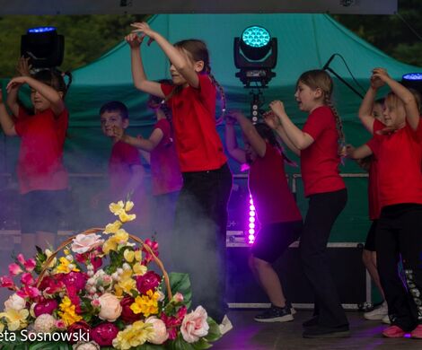„PIKNIKU W DAŃCZYPOLU” – święto lokalnej społeczności u malowniczego źródełka