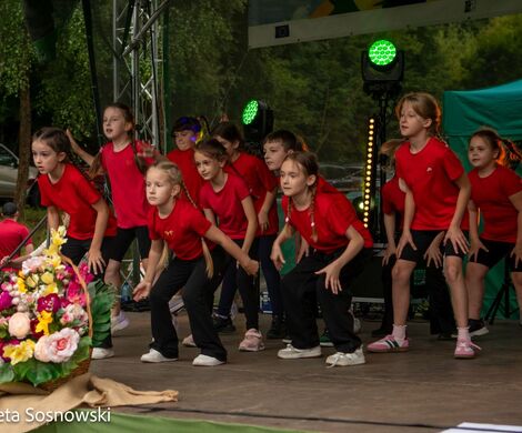 „PIKNIKU W DAŃCZYPOLU” – święto lokalnej społeczności u malowniczego źródełka