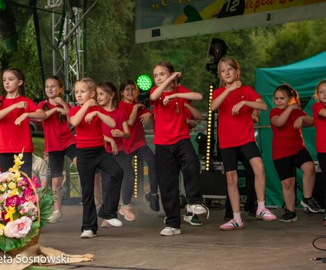 „PIKNIKU W DAŃCZYPOLU” – święto lokalnej społeczności u malowniczego źródełka