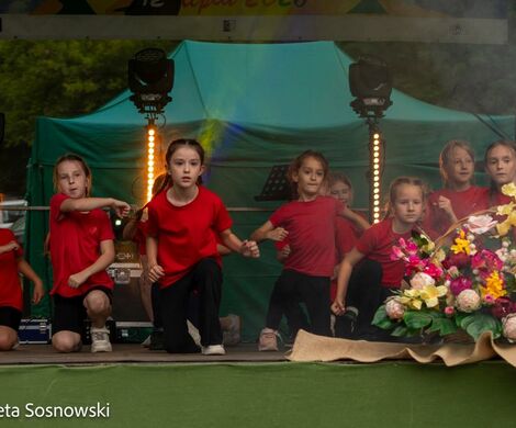 „PIKNIKU W DAŃCZYPOLU” – święto lokalnej społeczności u malowniczego źródełka