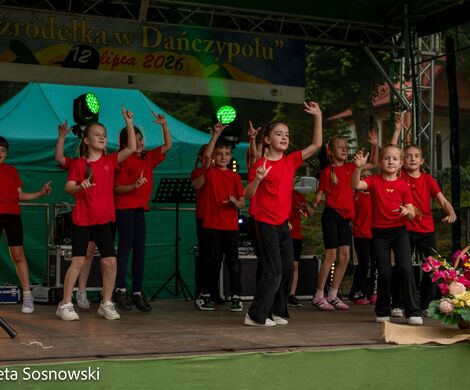 „PIKNIKU W DAŃCZYPOLU” – święto lokalnej społeczności u malowniczego źródełka