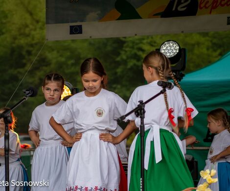 „PIKNIKU W DAŃCZYPOLU” – święto lokalnej społeczności u malowniczego źródełka