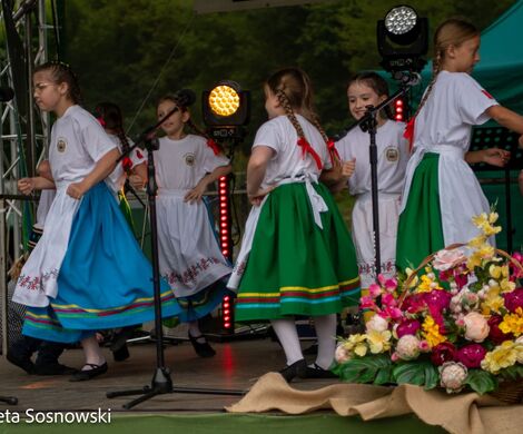 „PIKNIKU W DAŃCZYPOLU” – święto lokalnej społeczności u malowniczego źródełka