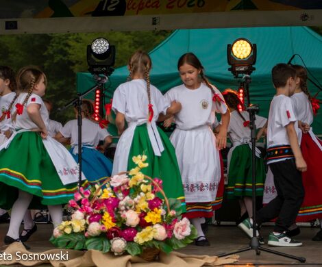 „PIKNIKU W DAŃCZYPOLU” – święto lokalnej społeczności u malowniczego źródełka