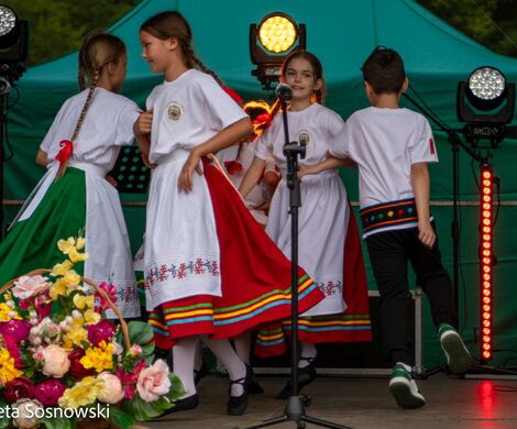„PIKNIKU W DAŃCZYPOLU” – święto lokalnej społeczności u malowniczego źródełka