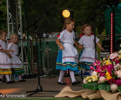 „PIKNIKU W DAŃCZYPOLU” – święto lokalnej społeczności u malowniczego źródełka