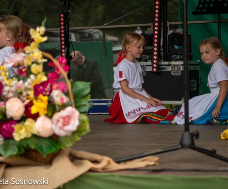 „PIKNIKU W DAŃCZYPOLU” – święto lokalnej społeczności u malowniczego źródełka