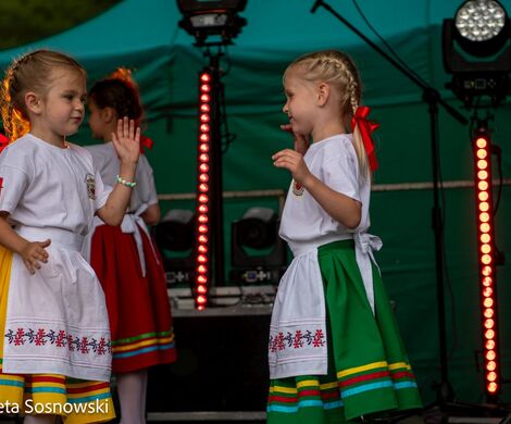 „PIKNIKU W DAŃCZYPOLU” – święto lokalnej społeczności u malowniczego źródełka