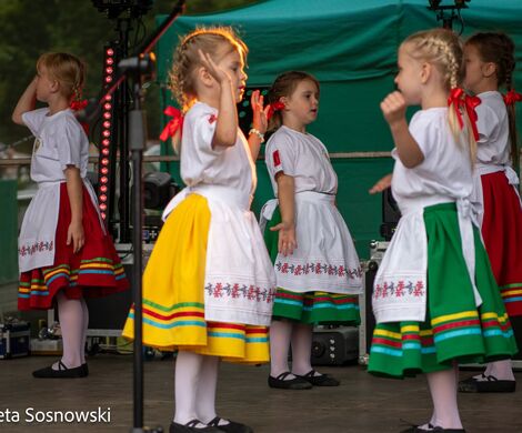 „PIKNIKU W DAŃCZYPOLU” – święto lokalnej społeczności u malowniczego źródełka